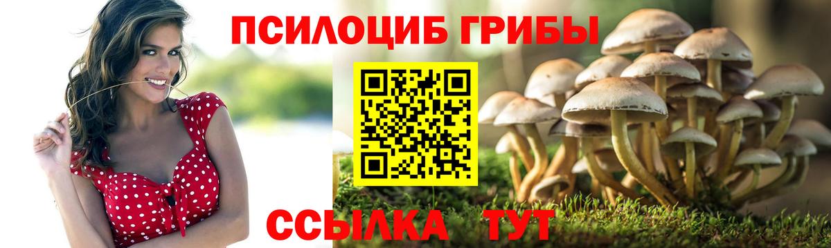 Галлюциногенные грибы Magic Shrooms  Вход с VPN  Жигулёвск  Псилоцибиновые грибы GOLDEN TEACHER 